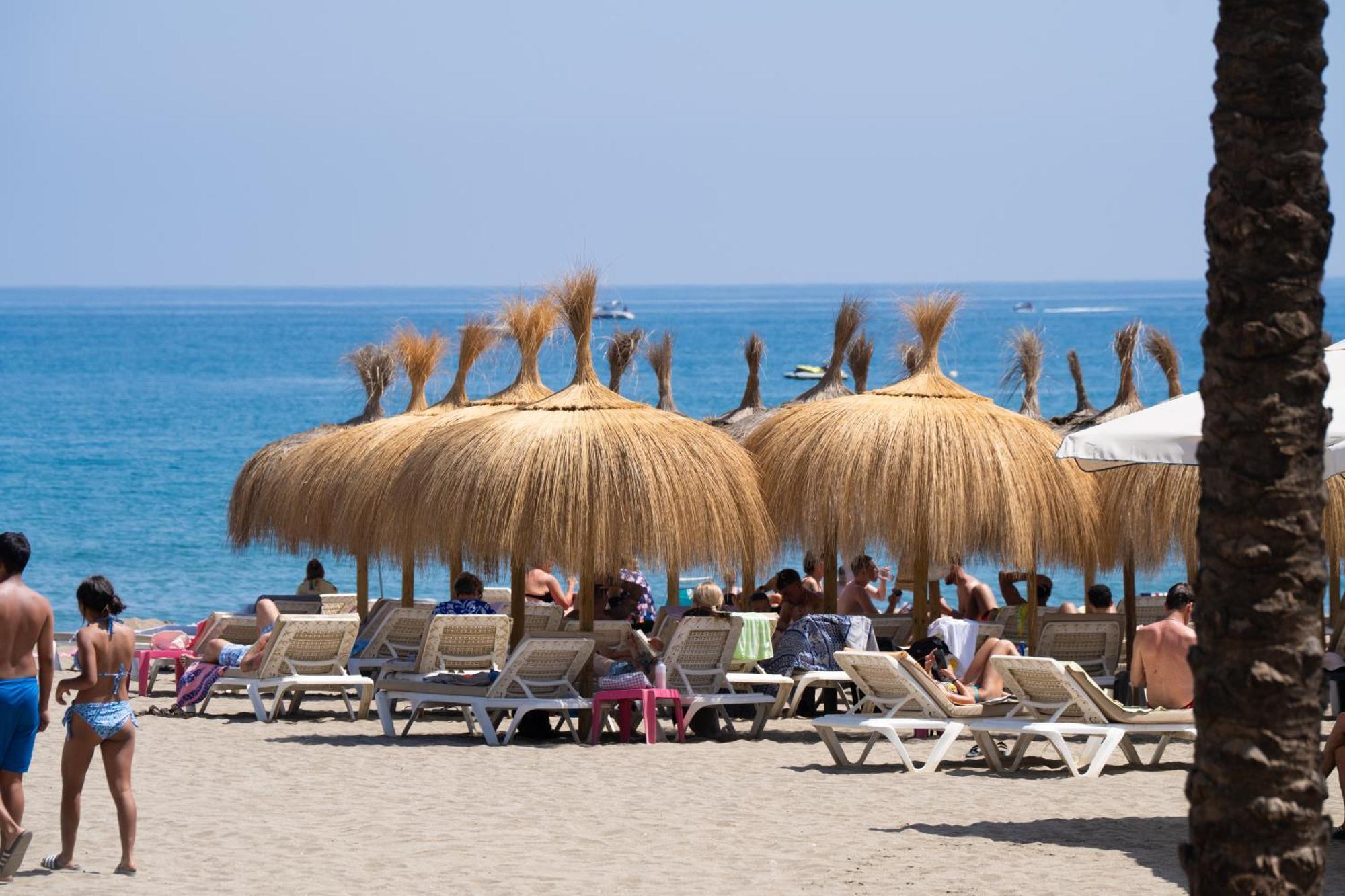 Patio Andaluz - Jardines 434 Marbella